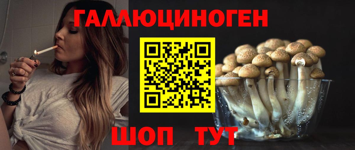 Сочи  Псилоцибиновые грибы Psilocybe  Вход с VPN 